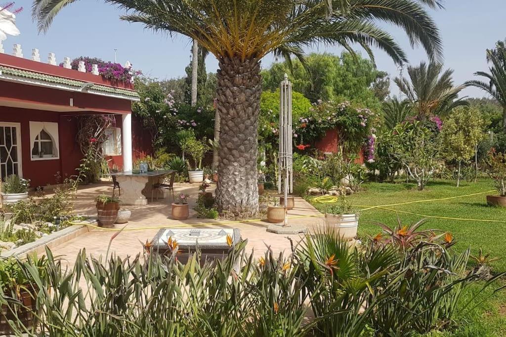 Domaine Des Mimosas
