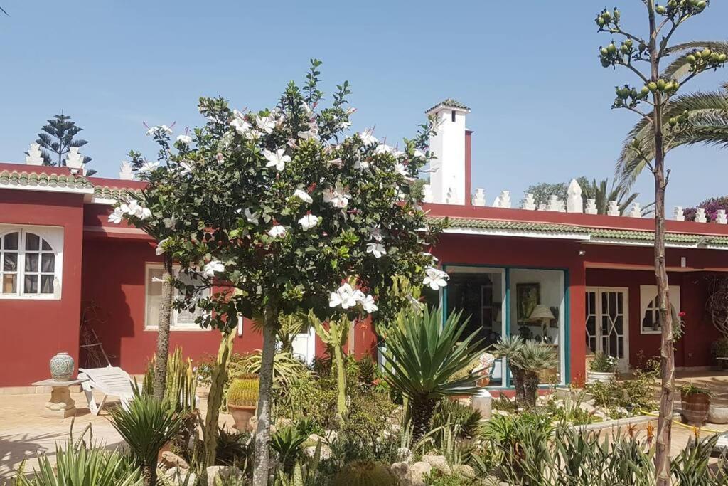 Domaine Des Mimosas * Essaouira